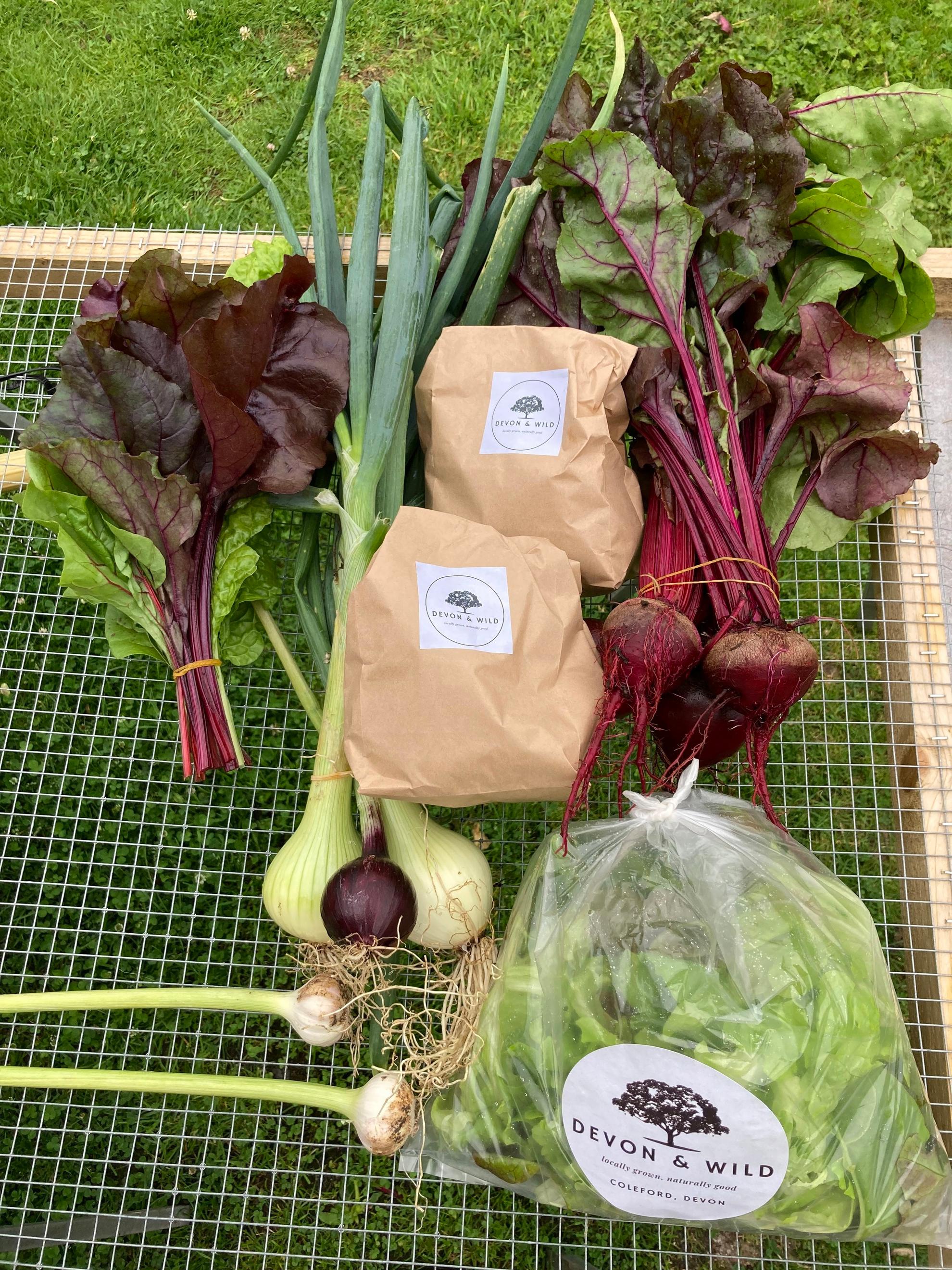 Small Veg Box