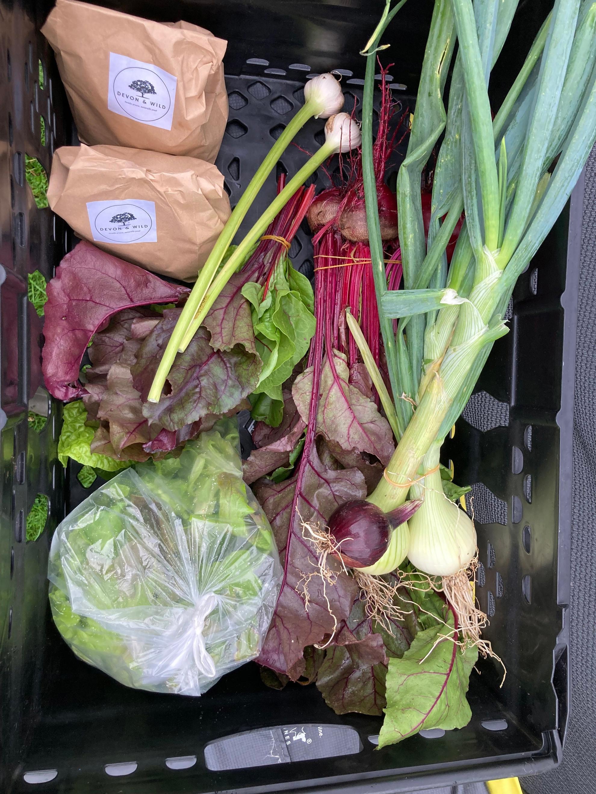 Large Veg Box